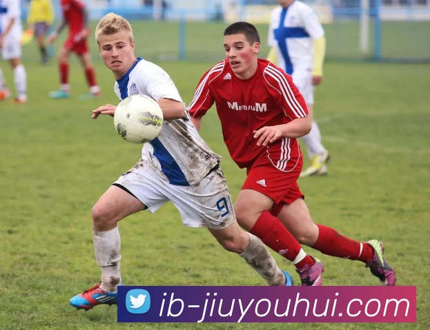 J9九游会官网平台生态图